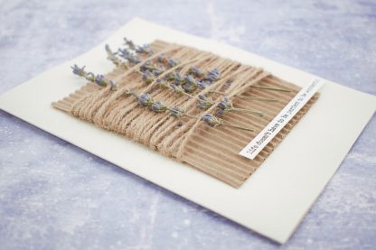 Nature's Touch - Image 3